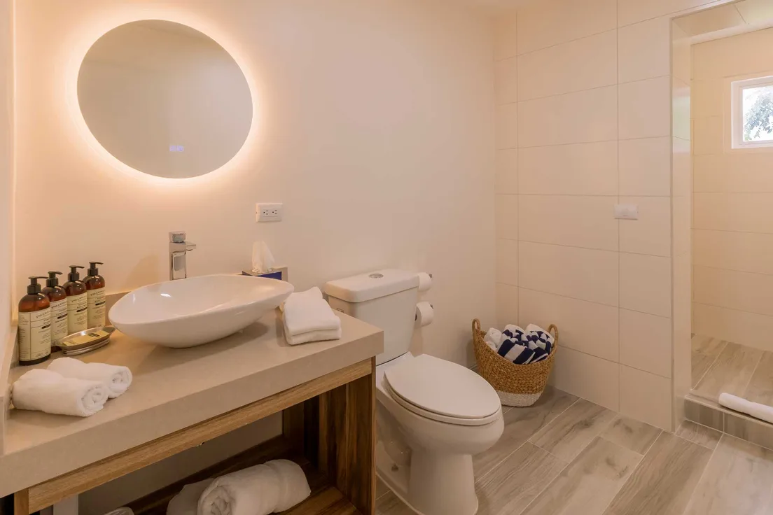 One Bedroom Apartment – photo 7