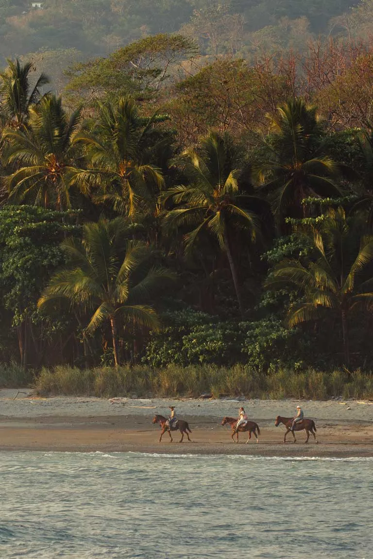 Horseback riding on the beach at Santa Teresa